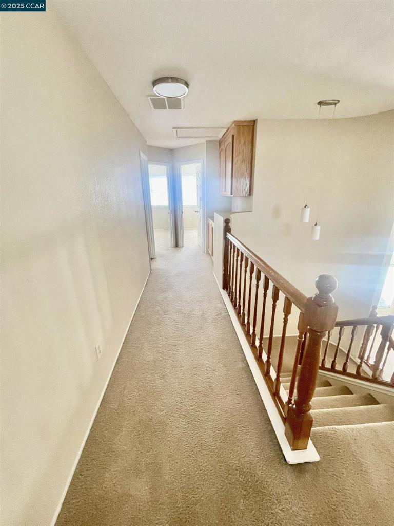 LIVE OAK - Residential