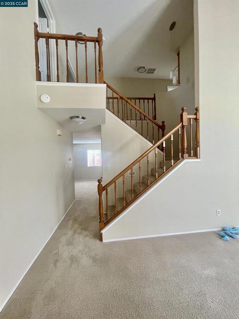 LIVE OAK - Residential