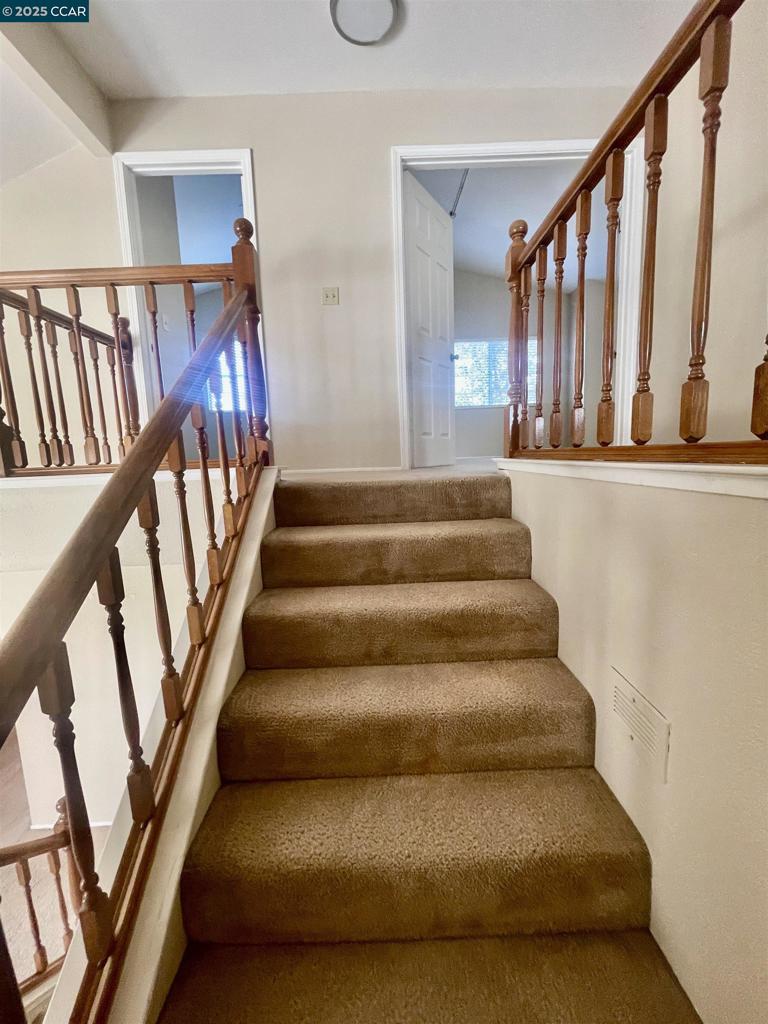 LIVE OAK - Residential