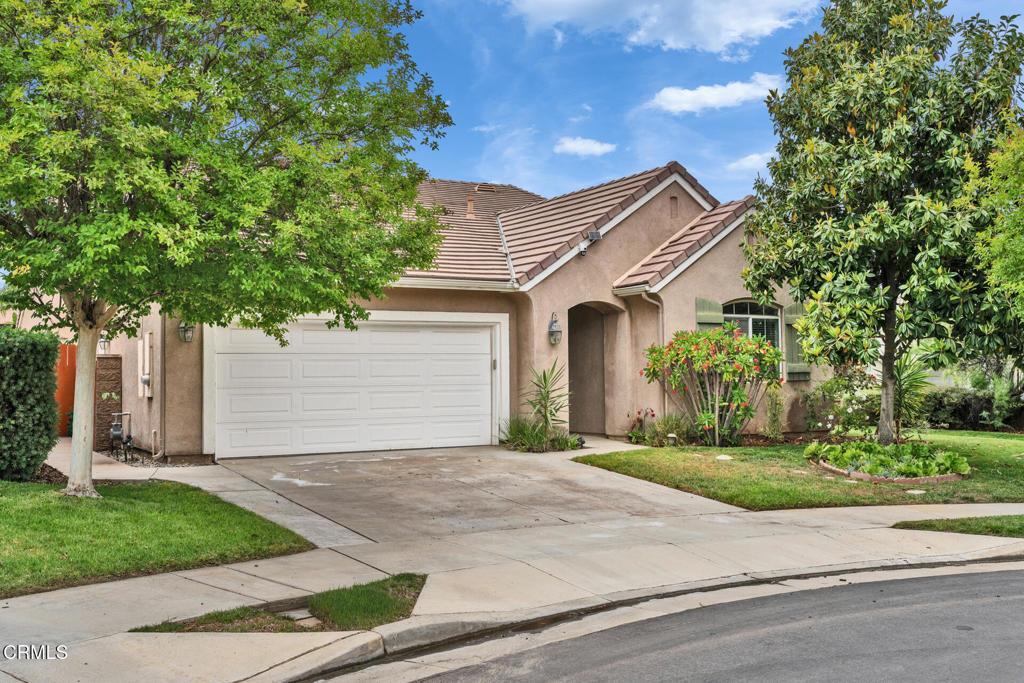 24889 Ashtree Court