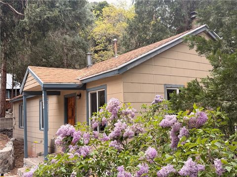 Photo of 9504 Summit Dr, Forest Falls, CA 92339 (MLS # IG26047370)