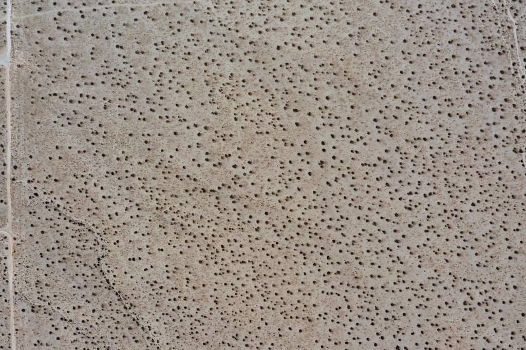 Not Applicable-1 - Land