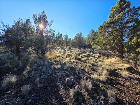 25 Quail Ridge Weed CA 96094