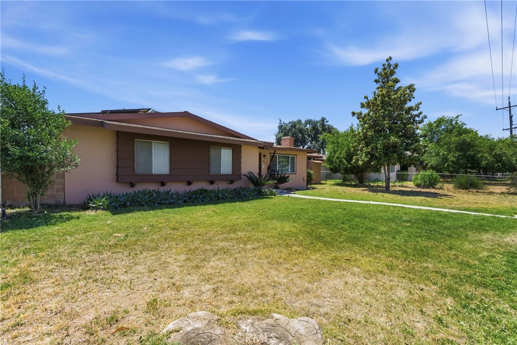 1001 White Lane