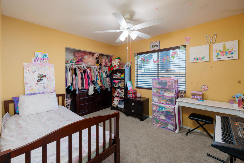 Palm Meadows - Residential