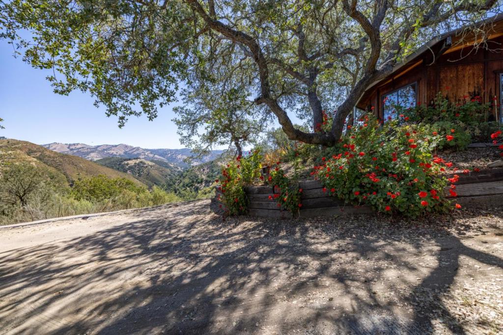 37840 Poppy Tree Lane