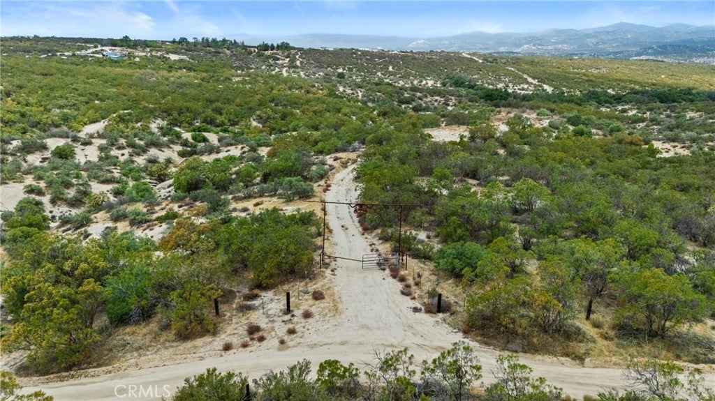 0 Encina Verde