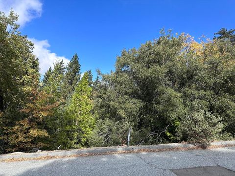 Photo of 0 Round Robin, Idyllwild, CA 92549 (MLS # 219139116DA)