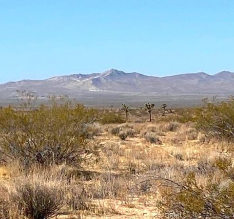 Photo of 1 Shelby Road, Helendale, CA 92342 (MLS # HD25233785)