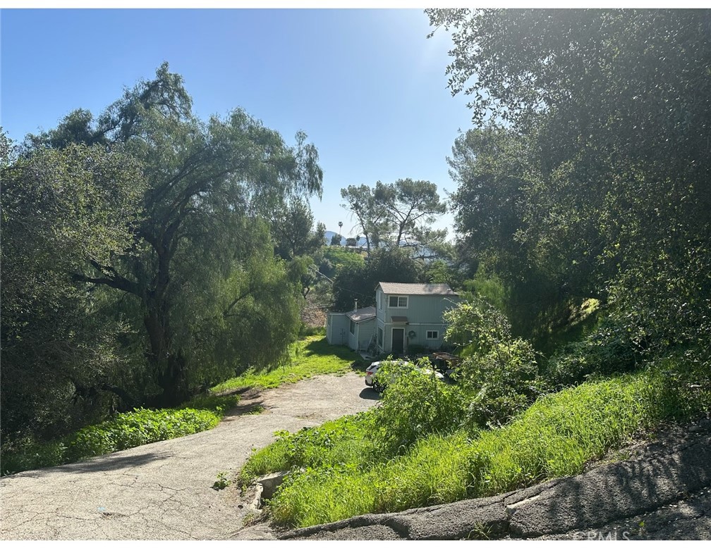 12211 Forest Trail