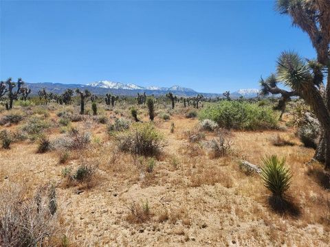 221 Avenue U Palmdale CA 93591