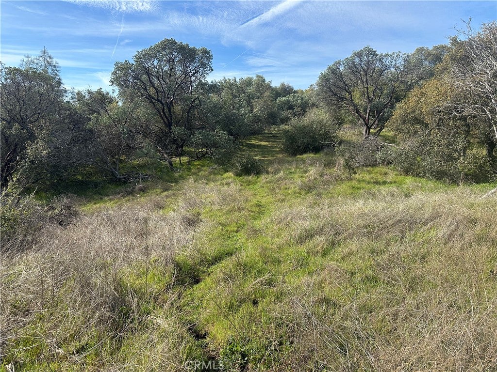 9 Acres Quartz Ridge Court