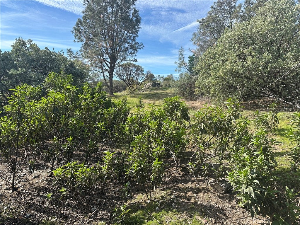 9 Acres Quartz Ridge Court
