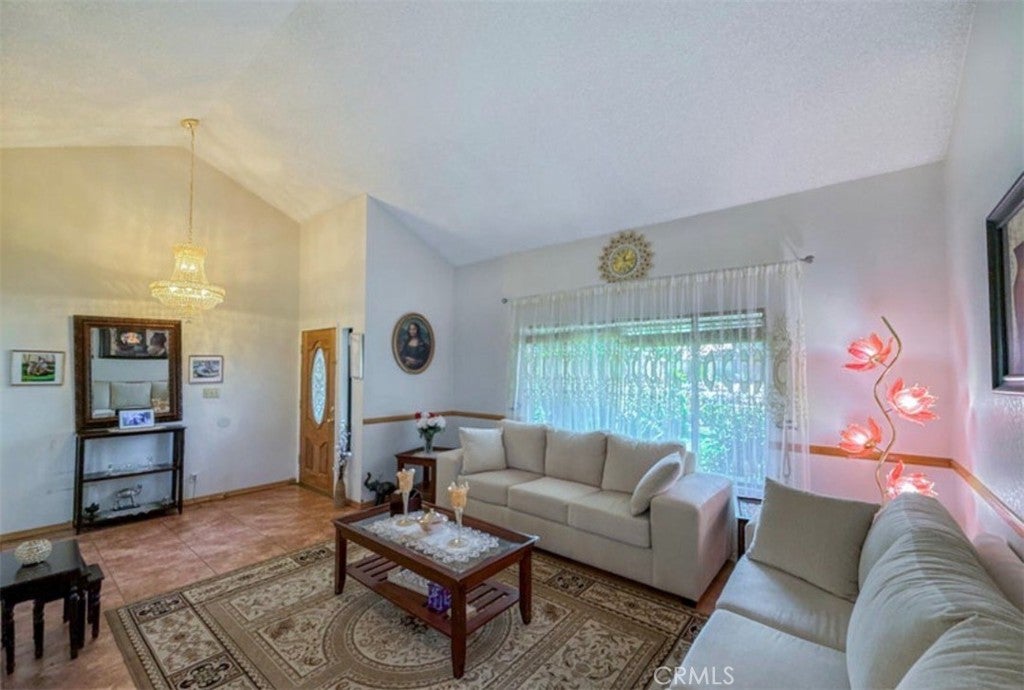 36790 Spanish Broom
