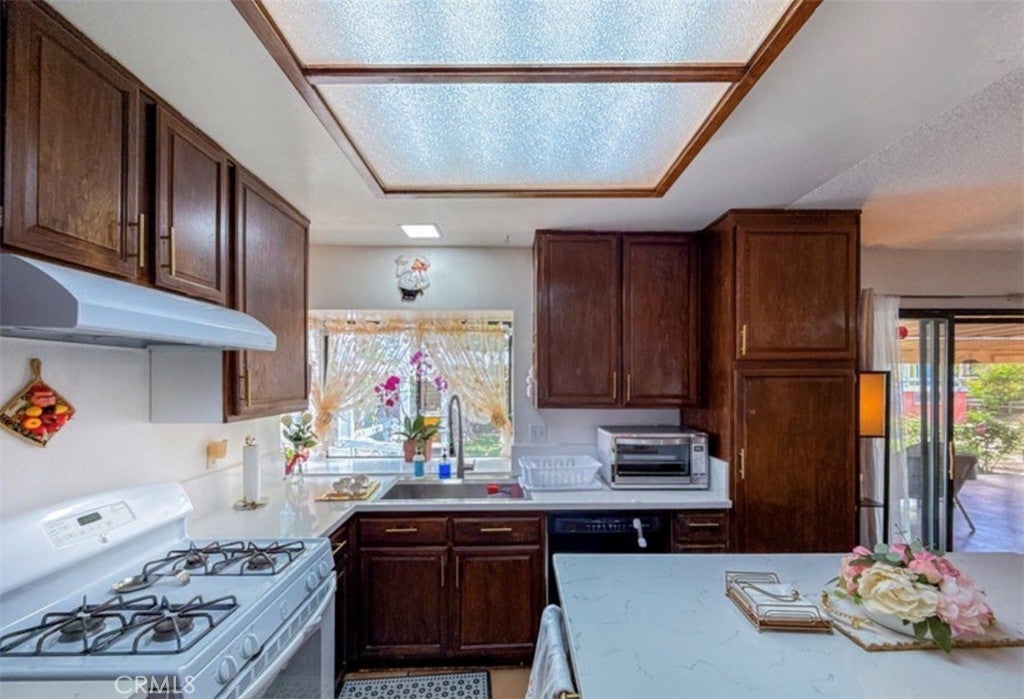 36790 Spanish Broom