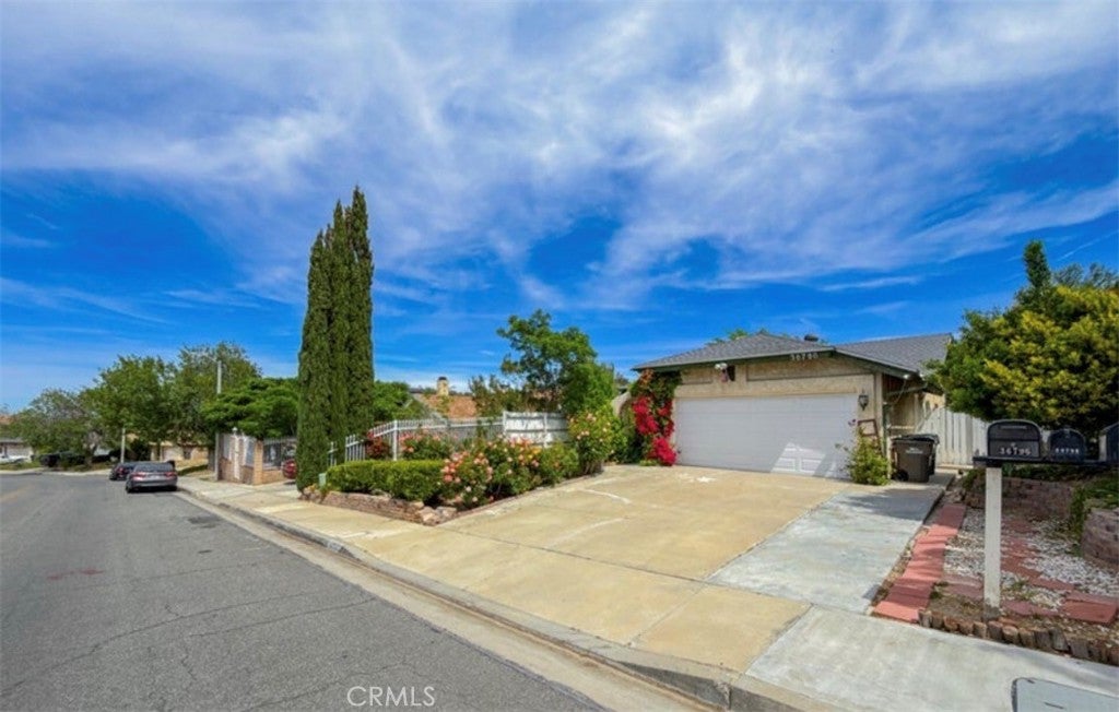 36790 Spanish Broom