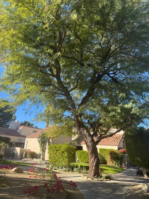 Mission Hills Country Club - Residential Lease
