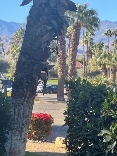 Mission Hills Country Club - Residential Lease