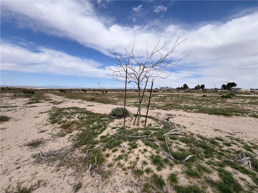 Great 2.56 acre property for sale just outside of town. Come imagine the potential here. Three sides of the property are fenced. There is a powerline running down the back side . There are houses in the area but not on either side of this lot.  Come sit and enjoy the peace and tranquility of being just out side of the city noise or park your truck and trailer and go explore the open desert. So much potential !!