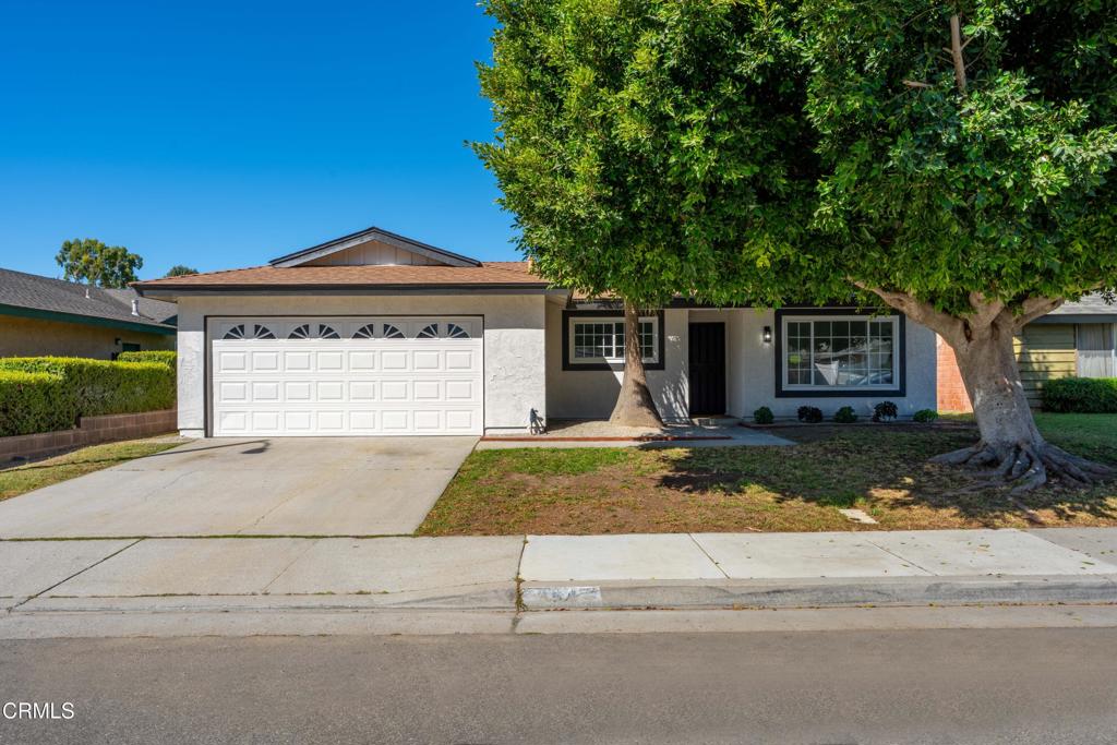 354 Tirre Court