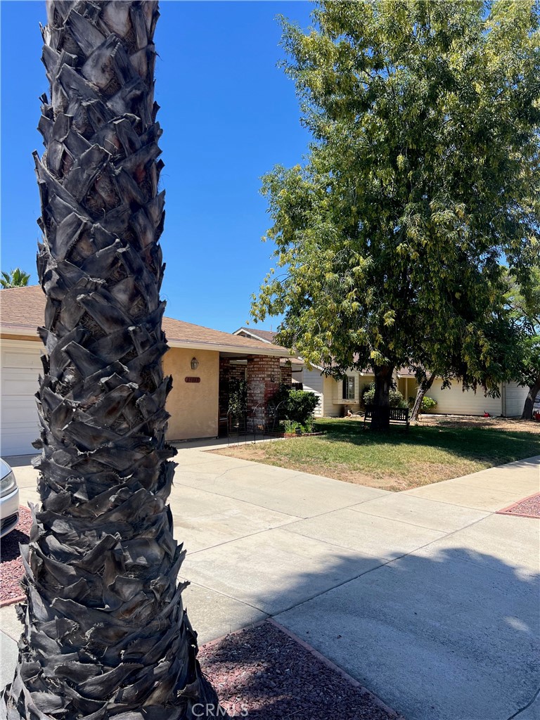 29843 Avenida De Fiesta