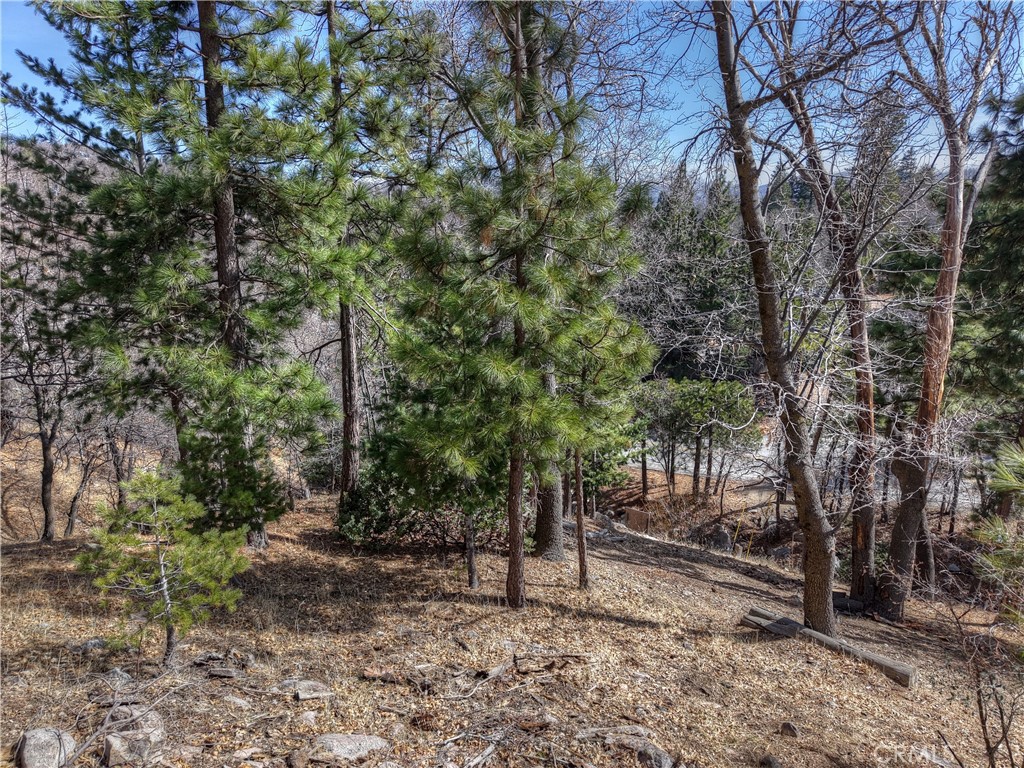 Arrowhead Woods (AWHW) - Land