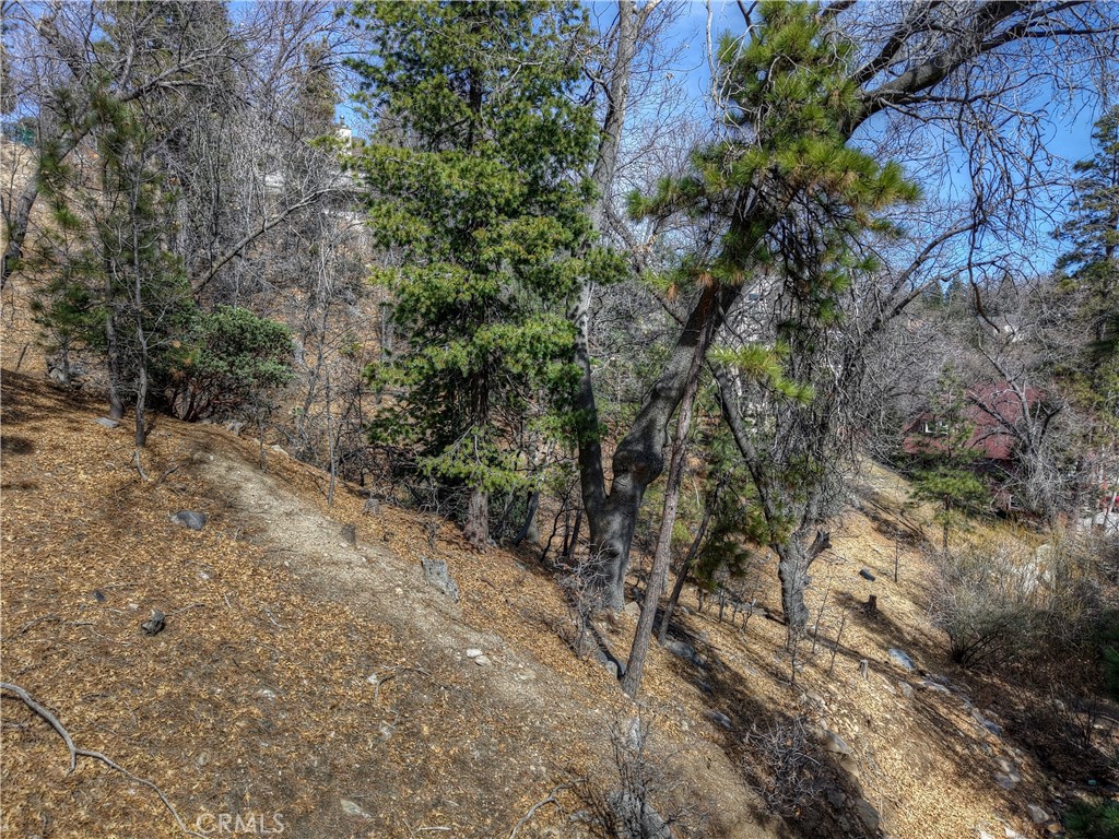 Arrowhead Woods (AWHW) - Land