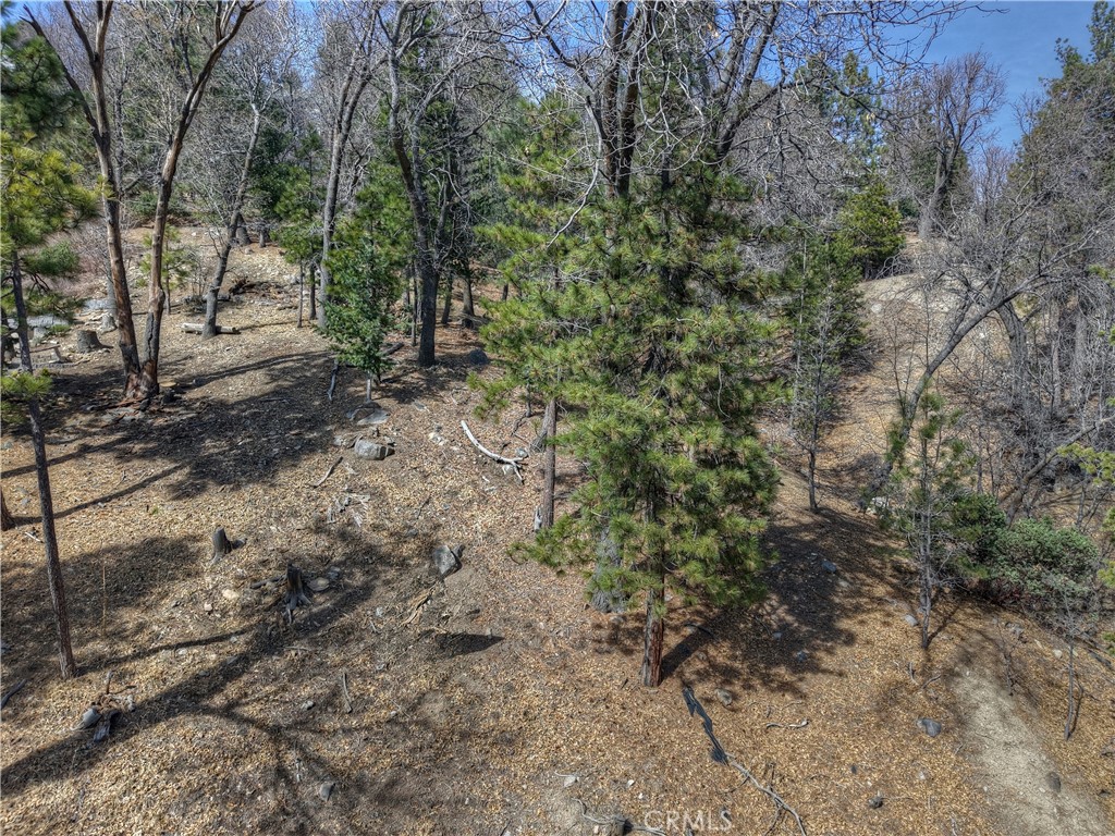 Arrowhead Woods (AWHW) - Land