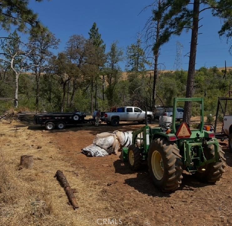 0 condor
