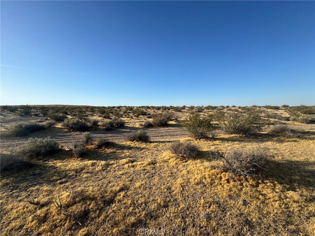 0 Vacant Land