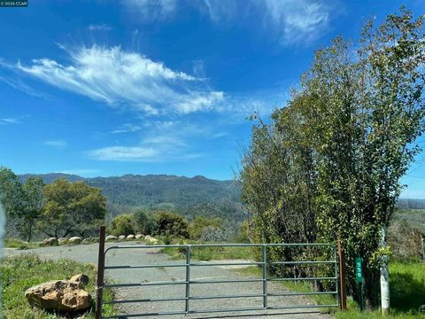 Photo of 558 Community Hall Ln LN, St Helena, CA 94574 (MLS # 41134637)