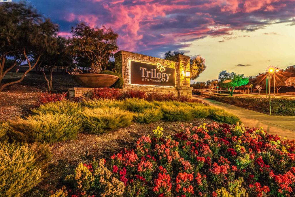 TRILOGY VINEYARDS - Residential