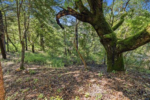 Photo of 360 Rincon Way, Boulder Creek, CA 95006 (MLS # ML82044799)