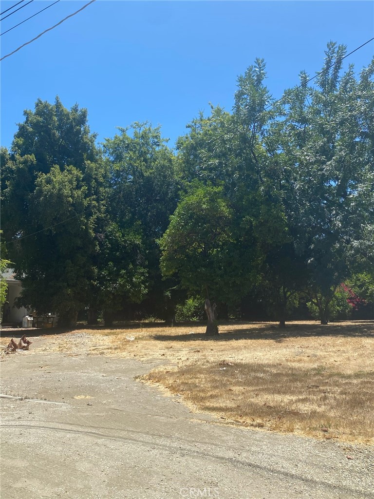 7110 Firmament Avenue