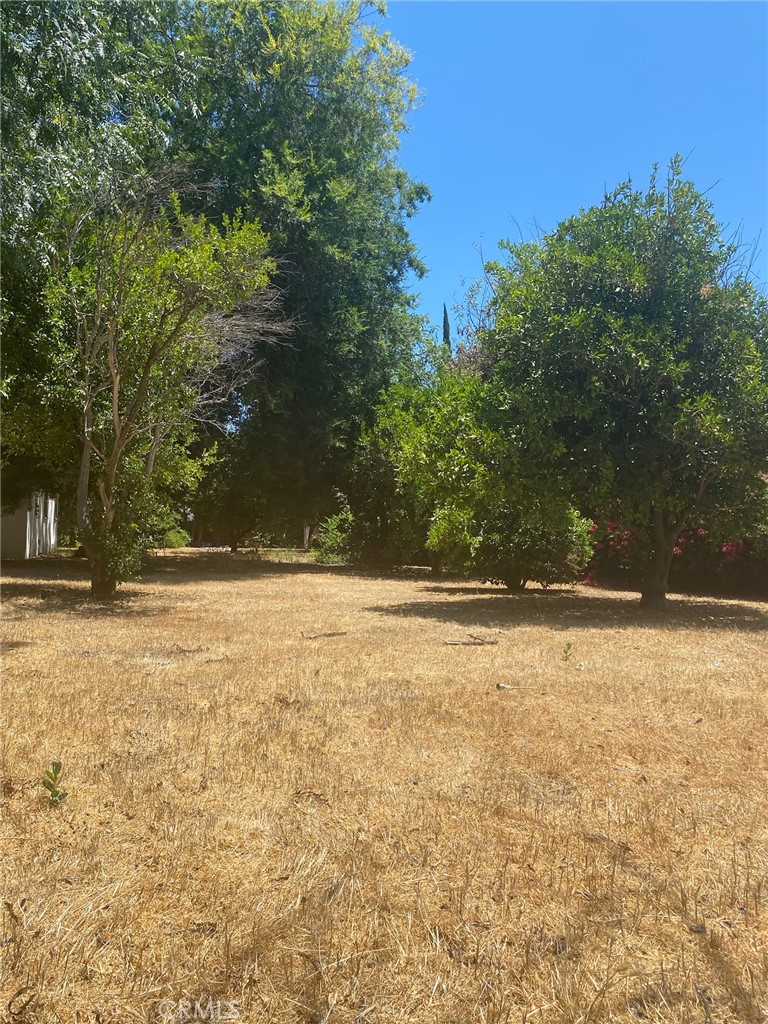 7110 Firmament Avenue