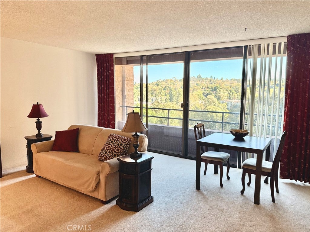 24055 Paseo Del Lago