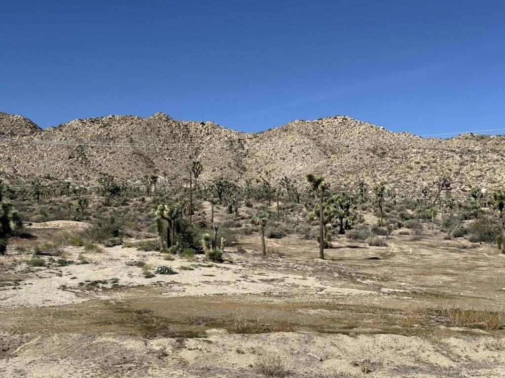 Not Applicable-1 - Land