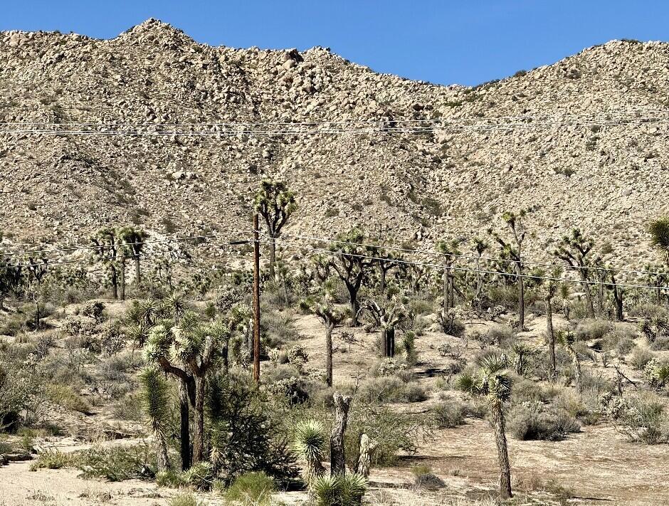 Not Applicable-1 - Land