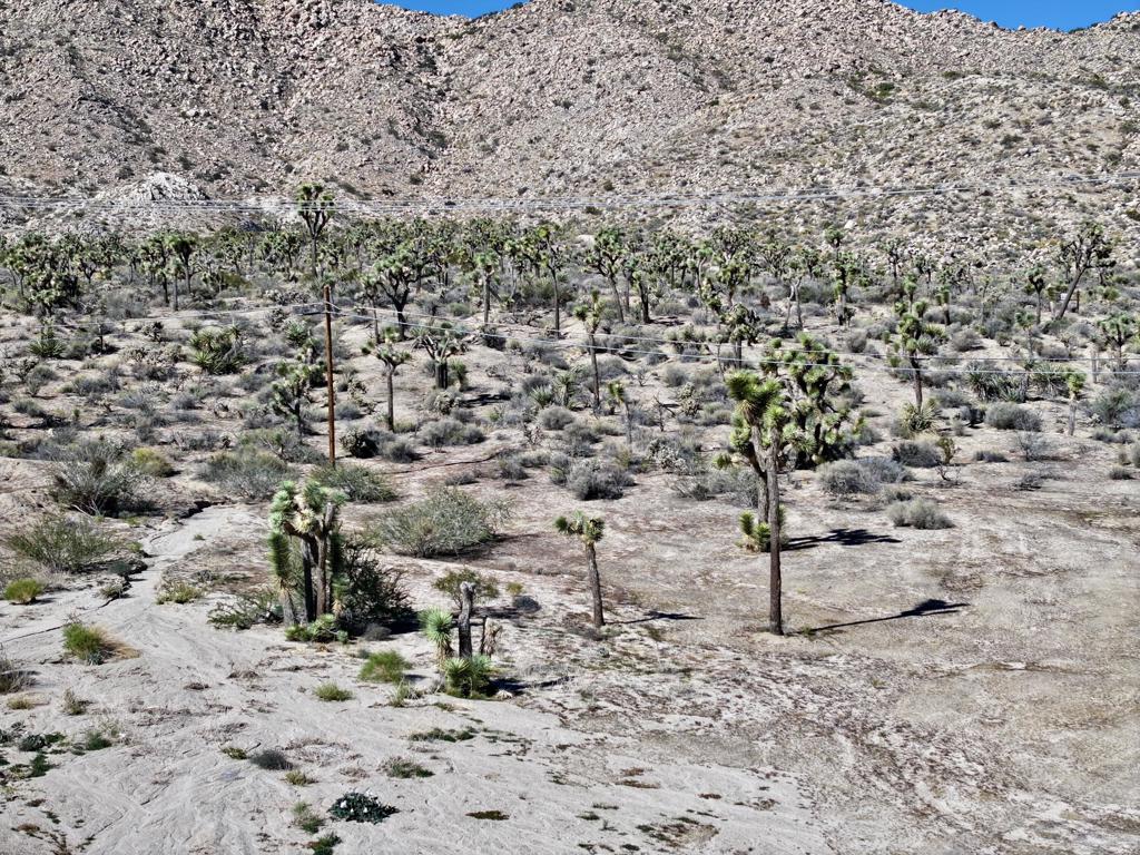 Not Applicable-1 - Land