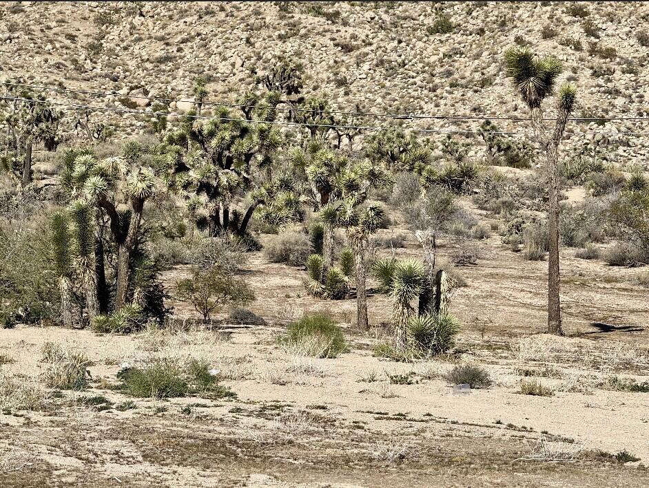 Not Applicable-1 - Land