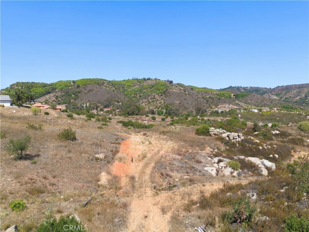 3 Las Palmeras