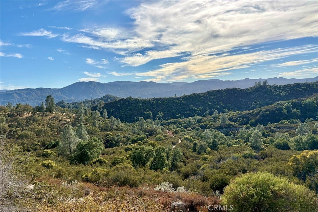 13 Bryson Hesperia Road