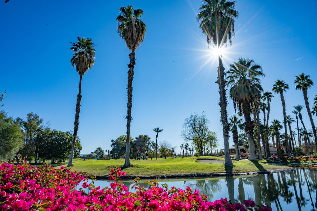 Indian Palms (31432) - Residential