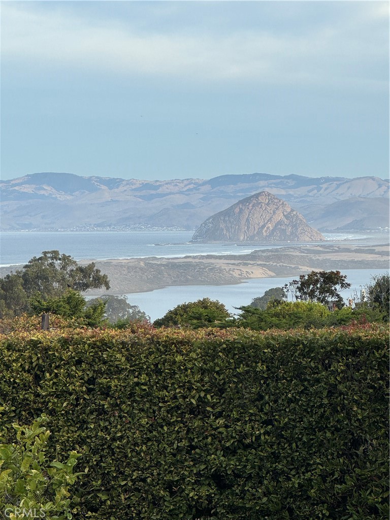 2703 Rodman Drive