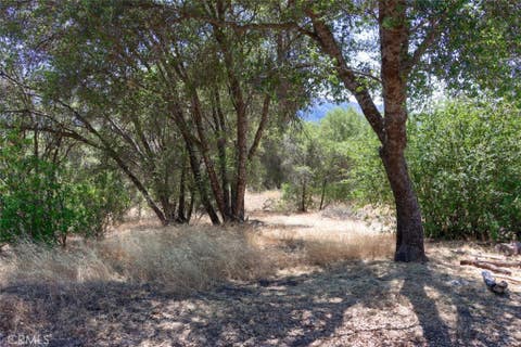 Tiny photo for 46316 Eastwood DR S, Oakhurst, CA 93644 (MLS # MP26157990)