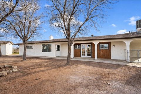 Photo of 14695 Ocotilla Rd, Apple Valley, CA 92307 (MLS # SW26010320)