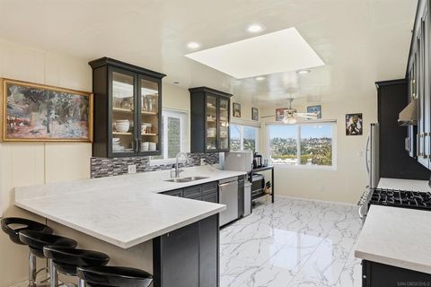 Photo of 4040 Yale Ave Ave, La Mesa, CA 91941 (MLS # 250045024SD)