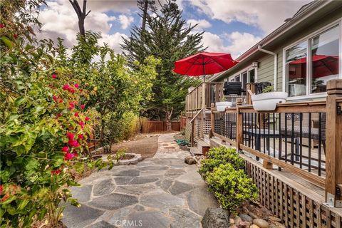 Tiny photo for 2968 Ardath Drive, Cambria, CA 93428 (MLS # SC26109216)