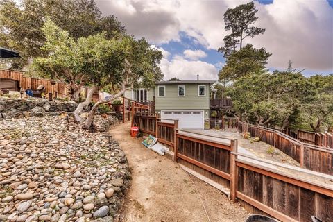 Tiny photo for 2968 Ardath Drive, Cambria, CA 93428 (MLS # SC26109216)