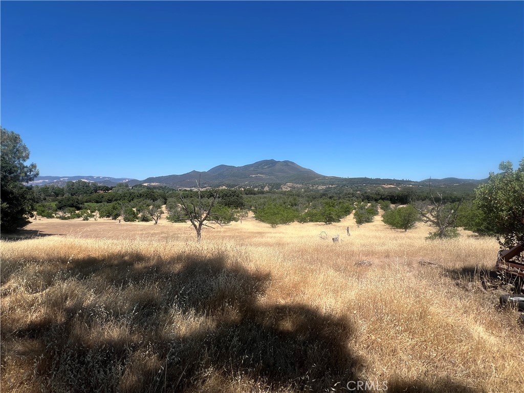 This charming cottage enjoys gorgeous views of Mt. Konocti, vineyards, and your very own walnut orchard. The landscape is truly breathtaking which is 44 + peaceful acres. At the top of the hill is an old farm house with 3 bedrooms and 1 bath that is in need of many repairs which can still be renovated into your dream home. Additionally it has a large shop for all your tools, farm equipment, and projects. Plentiful commercial well which produces 300 gpm with a turbine well pump and 4" piping. Additional well on property untested for production. You will not find a better setting just minutes from the desirable town of Kelseyville. Come check it out it has tremendous potential for a vineyard, retreat property, and equestrian enthusiasts. The current walnut orchard has irrigation lines throughout the property.